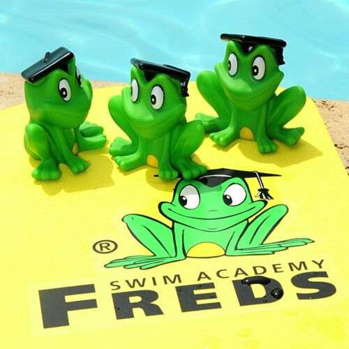 FREDDY splash frog
